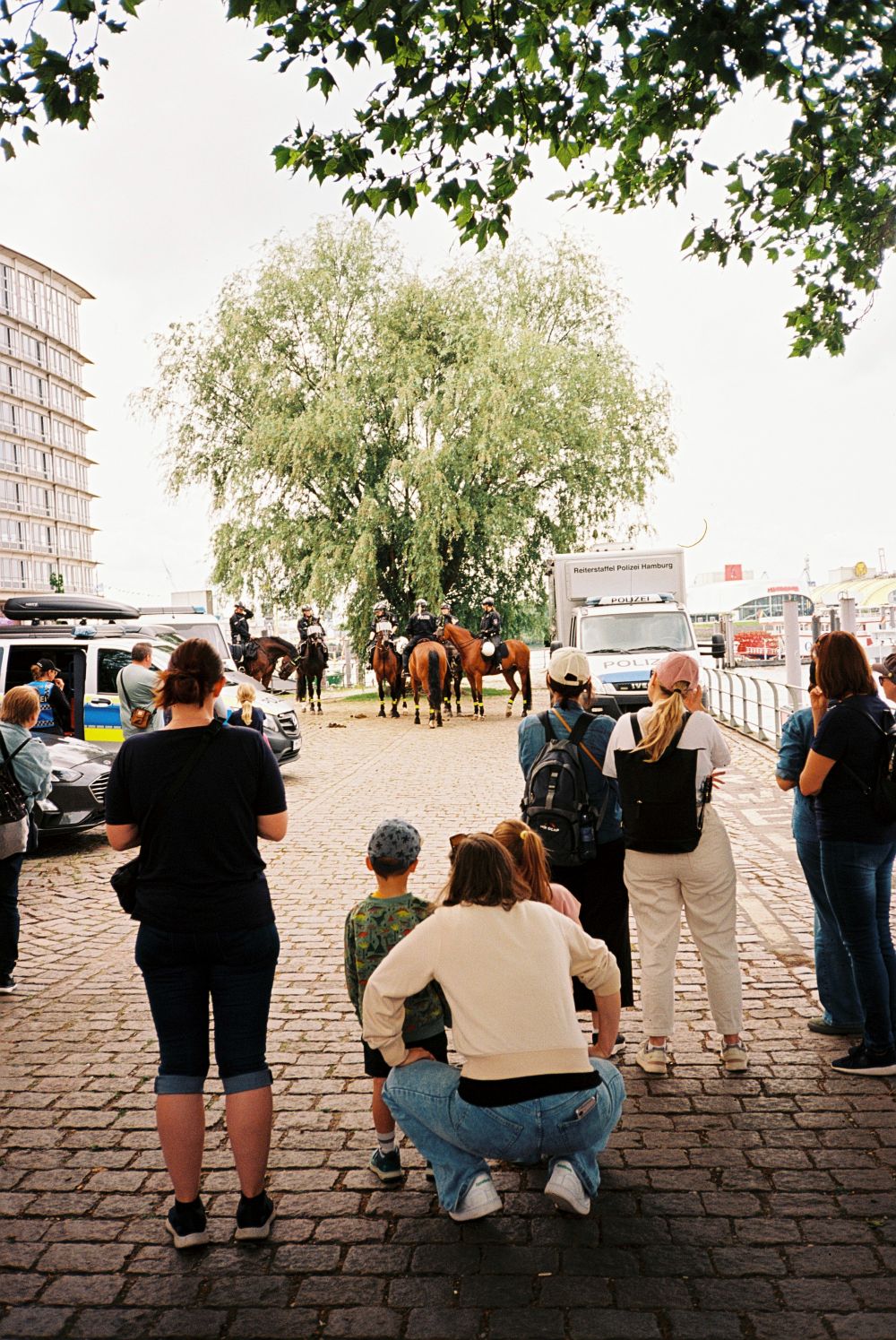 Menschen die auf eine Pferdestaffel der Polizei schauen